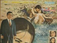 野喜鵲