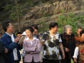 花开白草畔