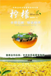 柠檬