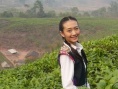 花戀