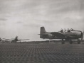 蒼空為家