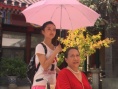 空巢之旅