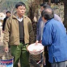 周末村官