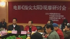 《指尖太陽(yáng)》舉行研討會(huì) 黃河呼吁關(guān)注留守兒童