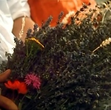 薰衣草