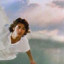 薰衣草