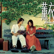 薰衣草
