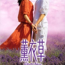 薰衣草