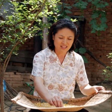 玫瑰谷