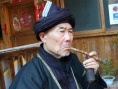 金畫眉