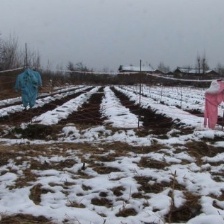 我們的主人家啊！就這樣去了