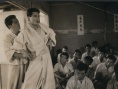 常青樹