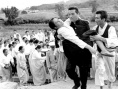 常青樹