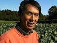 天的点滴 辰巳芳子的“生命之汤”