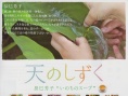 天的点滴 辰巳芳子的“生命之汤”