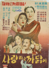 為了愛(ài)