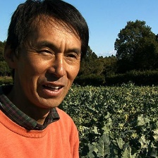 天的點滴 辰巳芳子的“生命之湯”