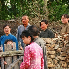 百合的故事