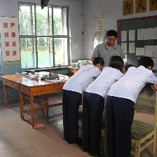 百合的故事