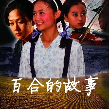 百合的故事