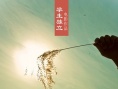 执子之手