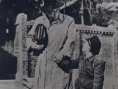 自由夫人