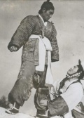 风仙花