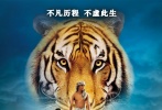 李安新片《少年派的奇幻漂流》曝光首款中文海報，少年派矗立船頭身后是無盡的大海和大大的虎頭，并配文字“不凡歷程，不虛此生?！北酒瑢⒂?1月22日登陸內(nèi)地院線。