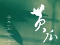 黄瓜