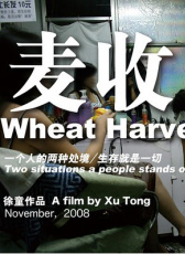 麥?zhǔn)? width=