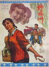 野鴨洲