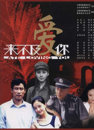 来不及爱你