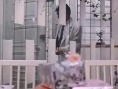 义胆红唇