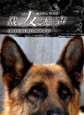 戰(zhàn)友無聲