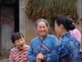 野茱萸
