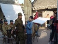 野茱萸