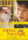 向日葵與幼犬的7天