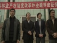踏界