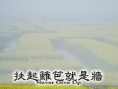 扶起篱笆就是墙