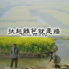 扶起篱笆就是墙