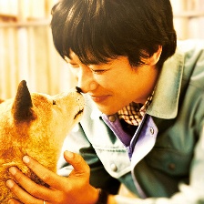 向日葵與幼犬的7天