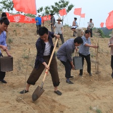 咱村書記是明星