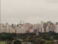 盲流感
