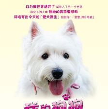 我的狗狗我的愛(ài)