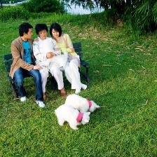 我的狗狗我的愛(ài)