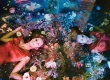 《纽约时报》曝迷幻写真 致敬颁奖季年度女英雄