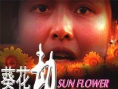 葵花劫