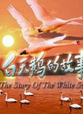 白天鵝的故事