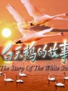 白天鵝的故事
