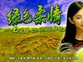 綠色柔情